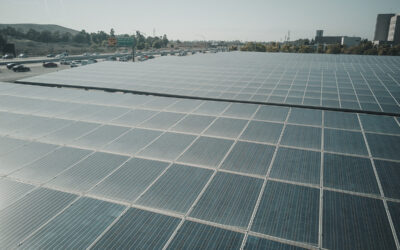 WE HAVE INSTALLED PHOTOVOLTAIC SOLAR PANELS